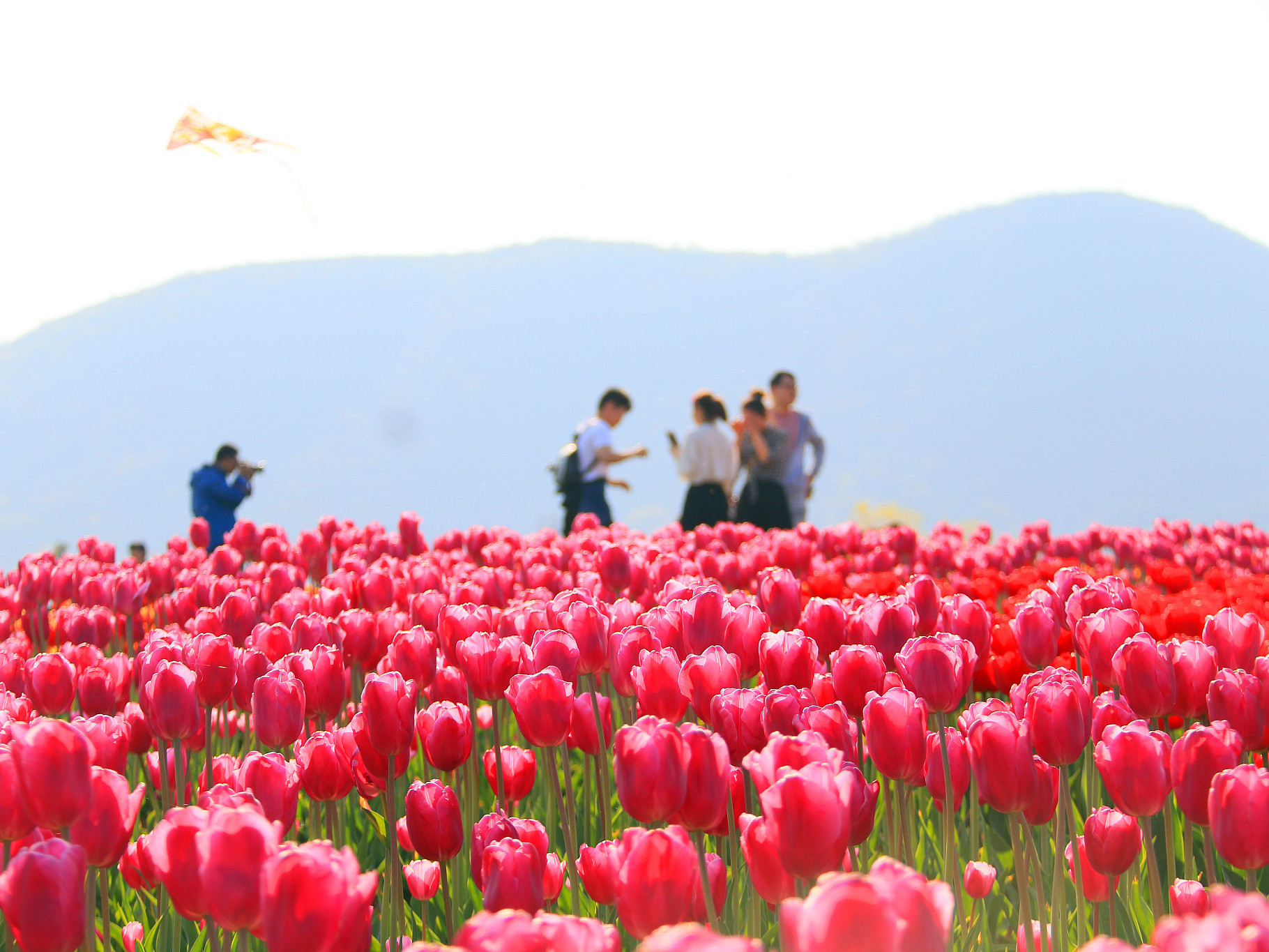 《休闲农业与乡村旅游》课程