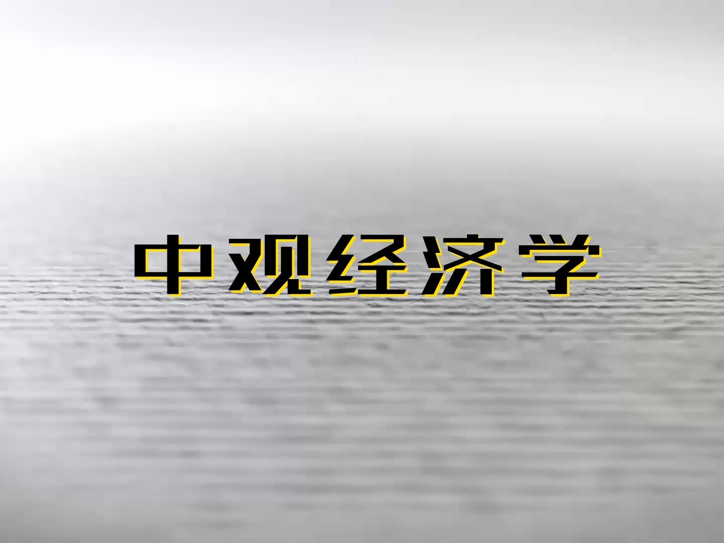 《中观经济学》课程